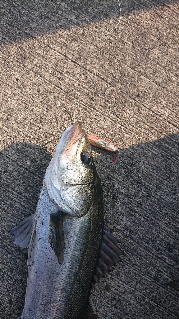 2022停泊船ゲーム1