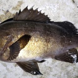 シーズンスタート