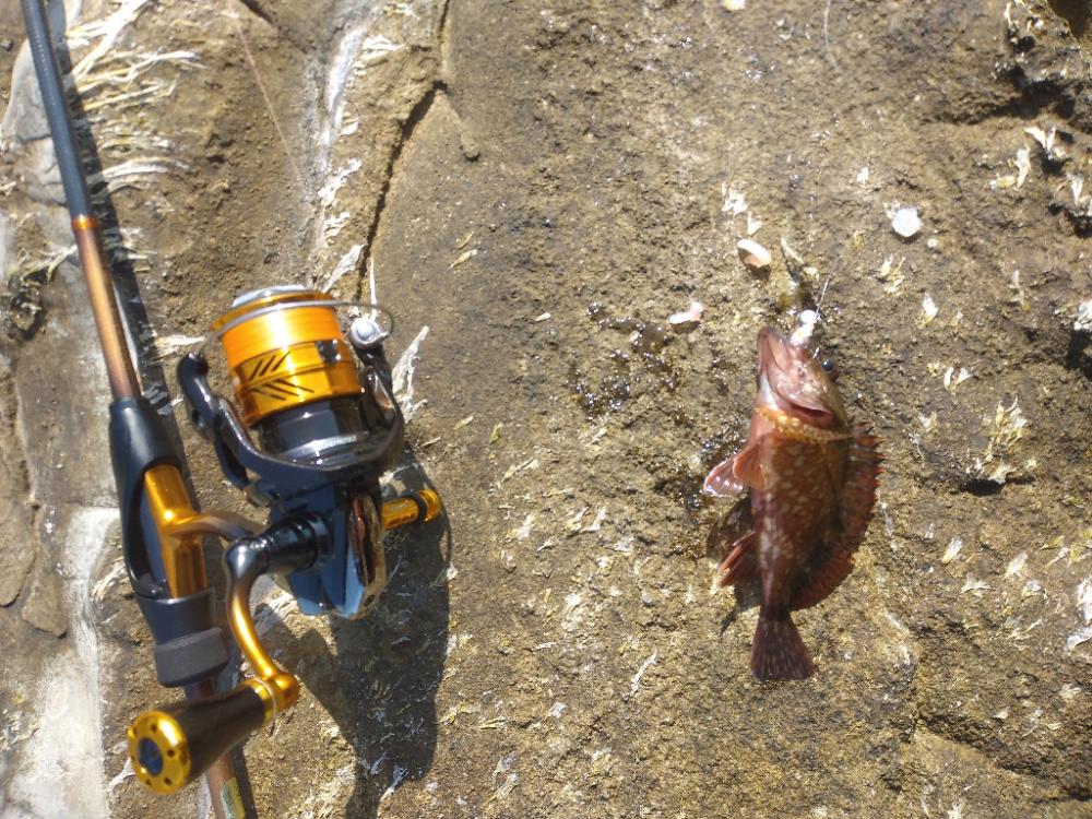 気温は高いがまだ水温が低く活性が低いかな!