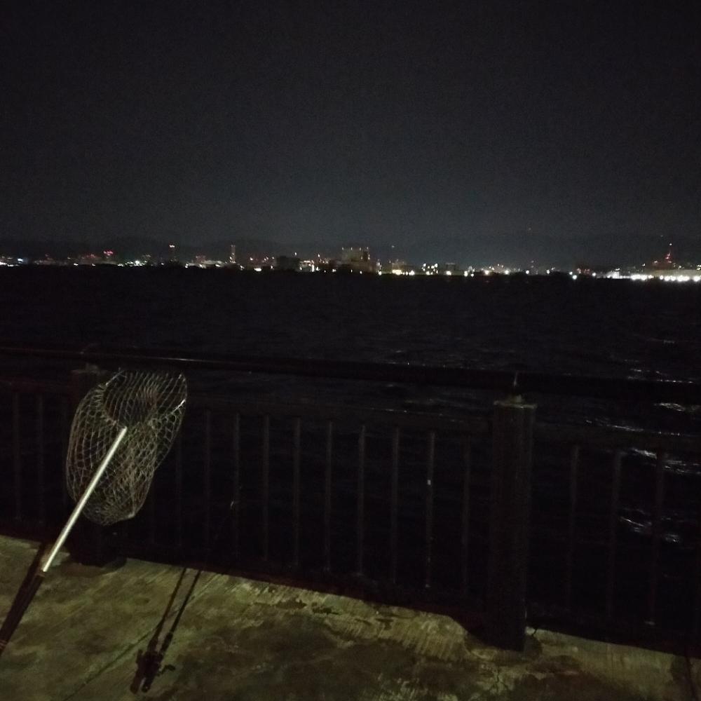 ぶっこみ釣り、ショアジギング不発