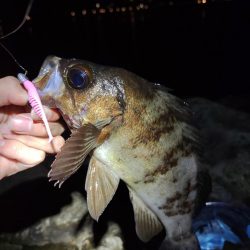 【メバリング】仕事終わり①