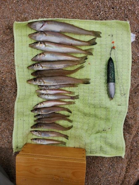 敦賀のキス上向き⤴þ…