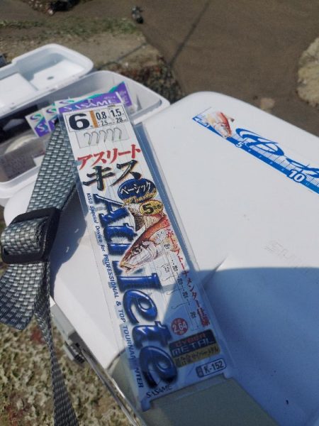 再びキス釣りへ