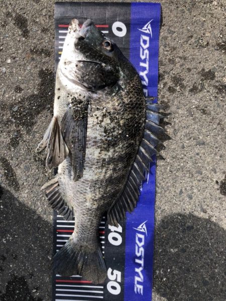 イチノ兄弟、釣果!