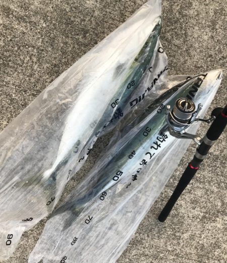 三国沖　春のジギング祭り開催！！