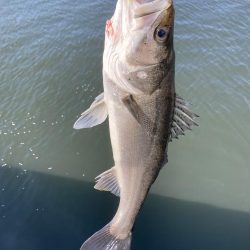 仕事終わりの短時間