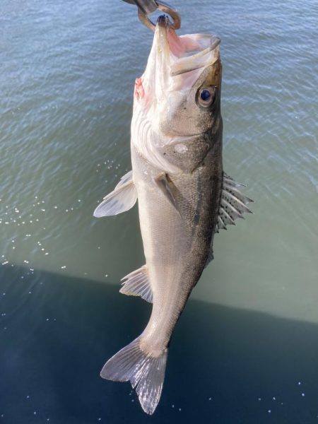 仕事終わりの短時間
