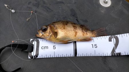 今季のオープン日に行きました