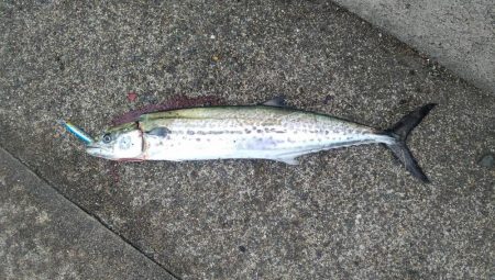 ついに来た❗️…