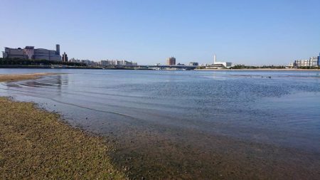 西宮サーフゲームでチヌ