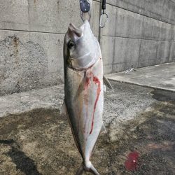 ショアジギング