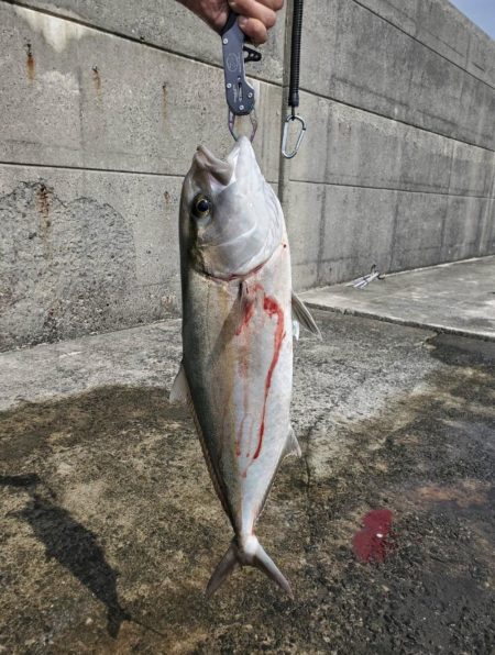 ショアジギング