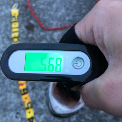 ルアーで初めてのブリ