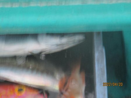 黒ムツ、アジ、根魚釣れたよ(^_-)-☆