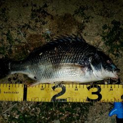 レバーブレーキルアーフィッシング②