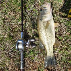 諦めかけたその時！