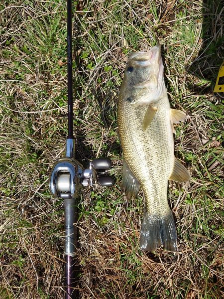 諦めかけたその時！