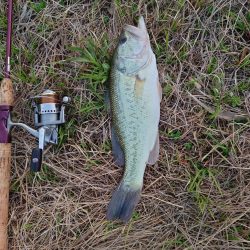 小バス のち グッドサイズ