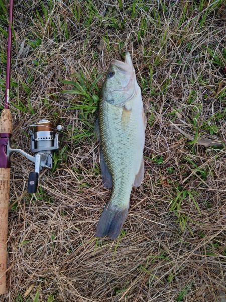 小バス のち グッドサイズ