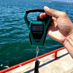 フカセDay⑤日射しに注意を(笑)