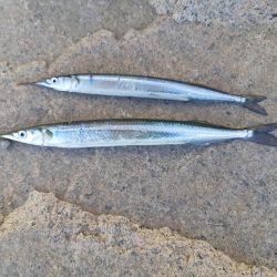 最後にちょっと・・・