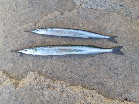 最後にちょっと・・・