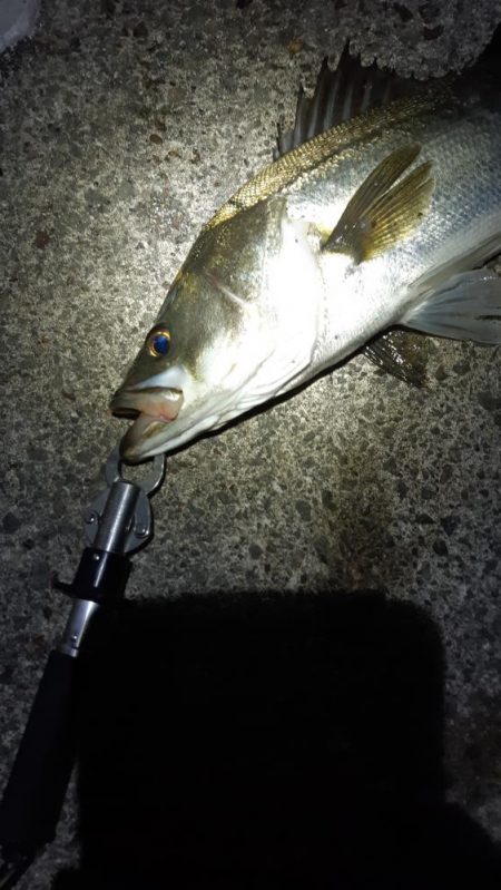 今日も行ってきました！