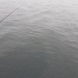 堤防フカセでなんとか1枚