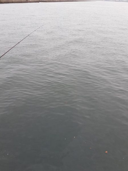 堤防フカセでなんとか1枚