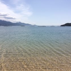 ポカポカ陽気に誘われて投げに行ってきました