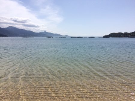 ポカポカ陽気に誘われて投げに行ってきました