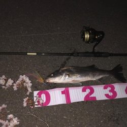 ががっときました。