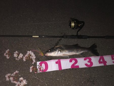 ががっときました。