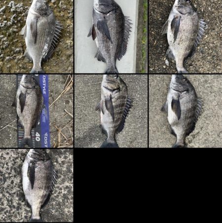 イチノ兄弟、釣果！