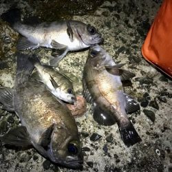 フロートメバリング