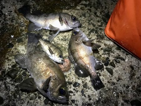 フロートメバリング