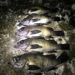 フロートメバリング