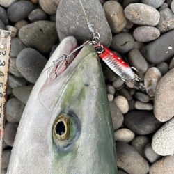 煙樹ヶ浜 ショアジギング 青物 ハマチ メジロ