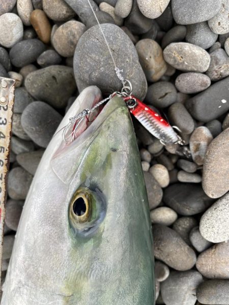 煙樹ヶ浜 ショアジギング 青物 ハマチ メジロ