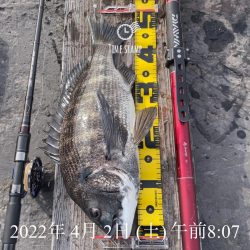 南港ヘチ釣り　午後爆