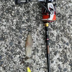 初、ベイカを求めて！！