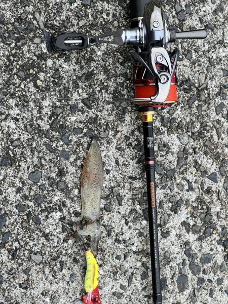 初、ベイカを求めて！！