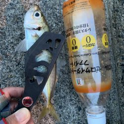 春がきたϵ( \’Θ\’ )϶