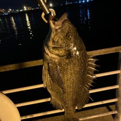 ヘチってきました