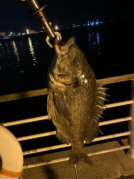 ヘチってきました