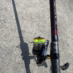 砂上げ場のサヨリ釣り