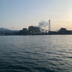 蒲生田沖で真鯛