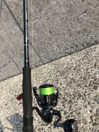 寝坊からのショアジギング