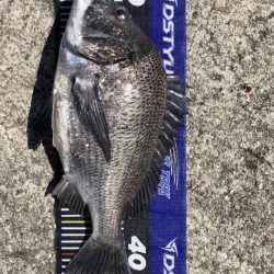 イチノ兄弟、釣果!