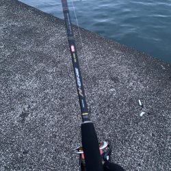 夕マズメアジング